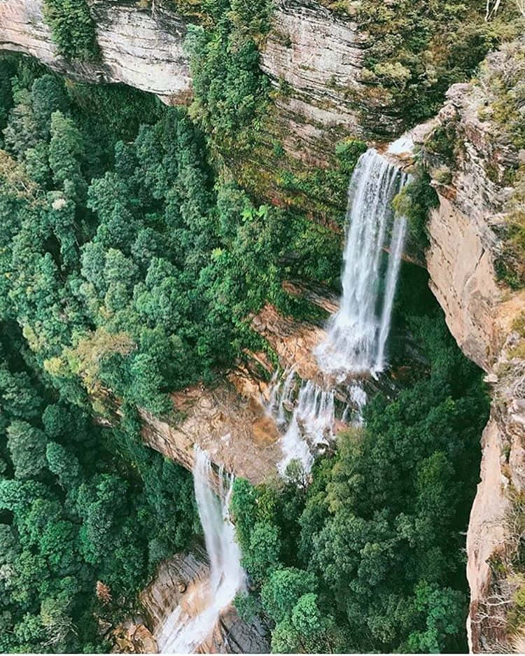 Blue Mountains National Park 桌布 壁紙 — 從高空俯瞰，雄偉的瀑布穿過茂密的綠色森林和岩石懸崖。