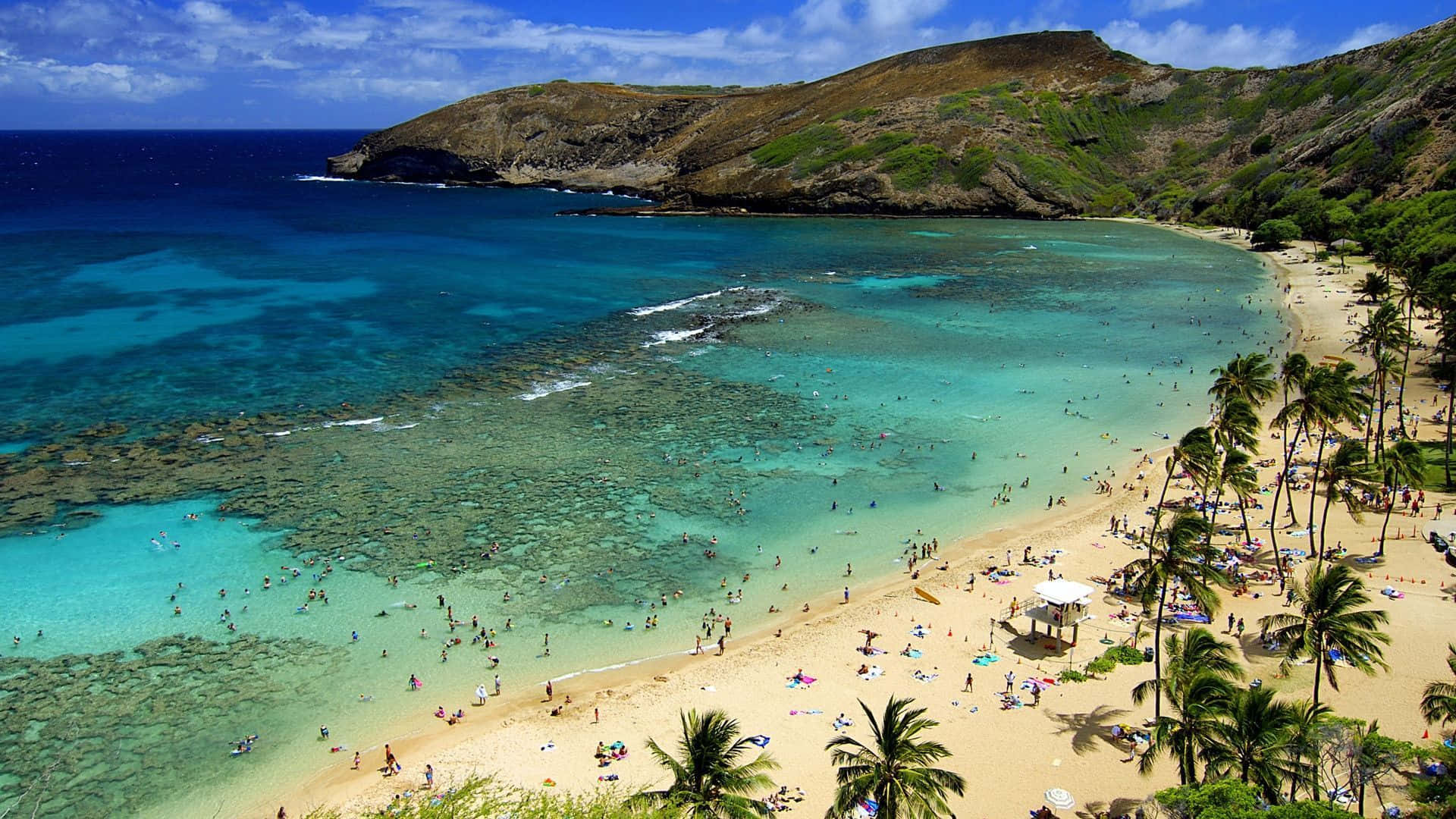 Hawaiian Beach 桌布 壁紙 — 從高空俯瞰充滿活力的熱帶海灘，碧綠海水、珊瑚礁和棕櫚樹在明亮的藍天下。