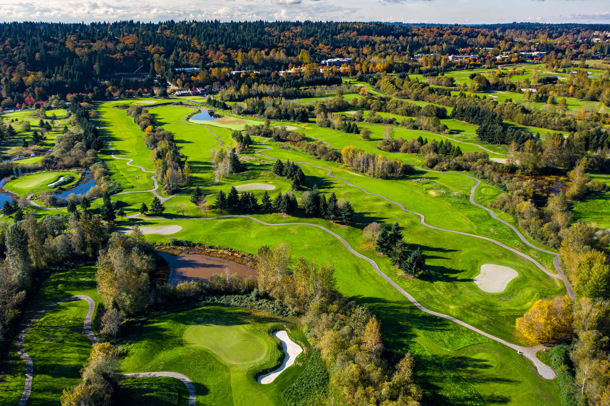 Golf Green 桌布 壁紙 — 從高空俯瞰廣闊的高爾夫球場，翠綠的球道在秋色斑斕的樹林中蜿蜒，沐浴在明亮的日光下。