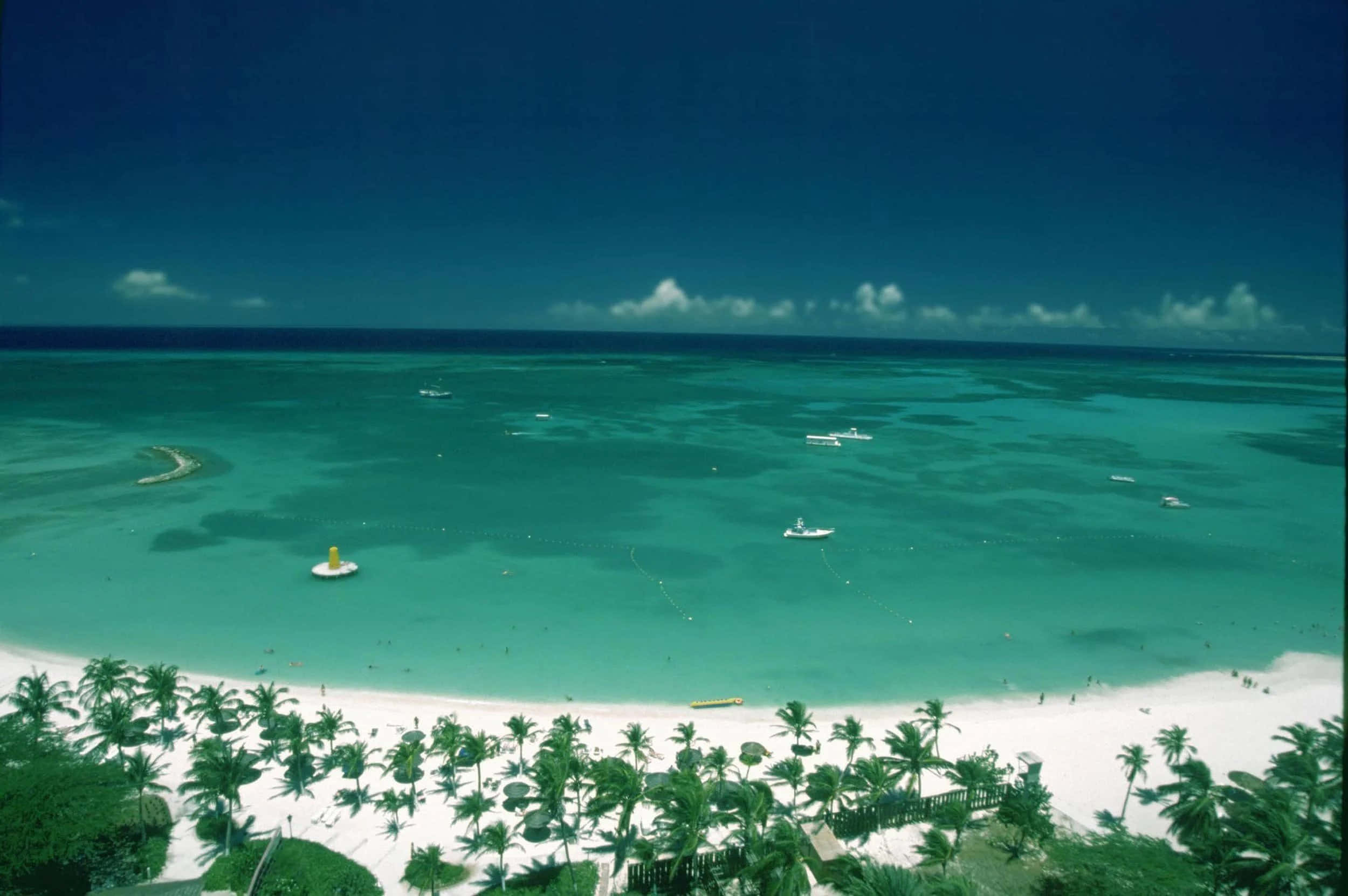 Aruba 桌布 壁紙 — 從高空俯瞰的熱帶天堂，碧綠海水、白色沙灘和棕櫚樹，在深藍色天空下。