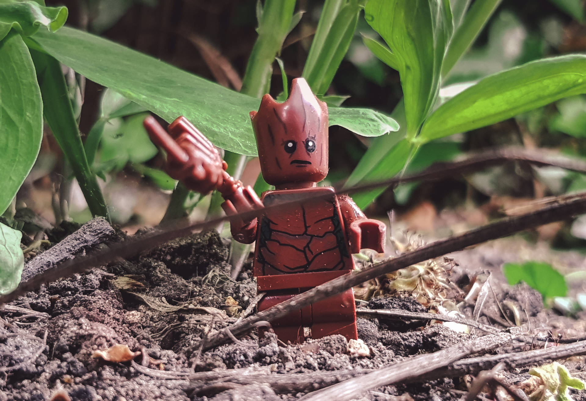 LEGO Groot人仔喺泥土入面，周圍有綠色植物 — 漫威 壁紙
