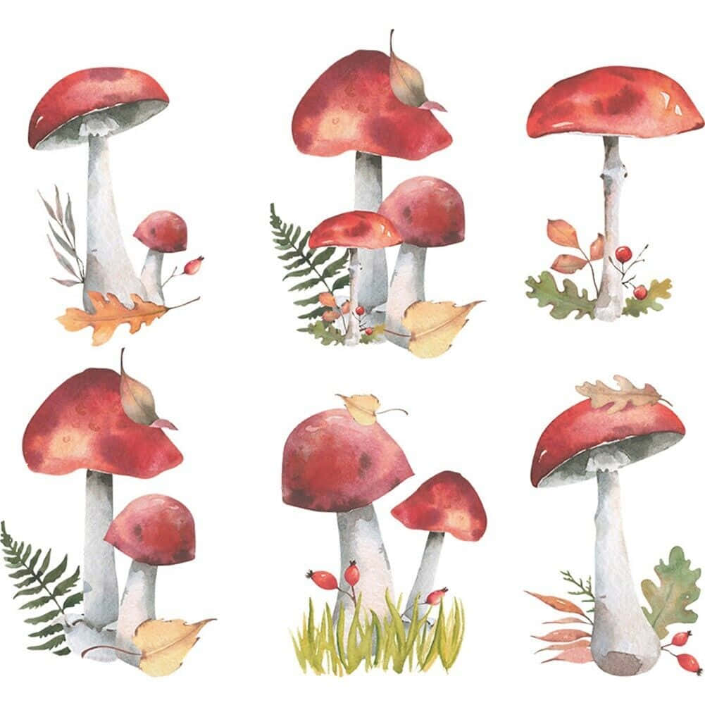 復古可愛蘑菇精靈森林牆貼 壁紙 — 六幅水彩插圖，描繪紅帽蘑菇搭配秋葉和蕨類植物，背景為白色。