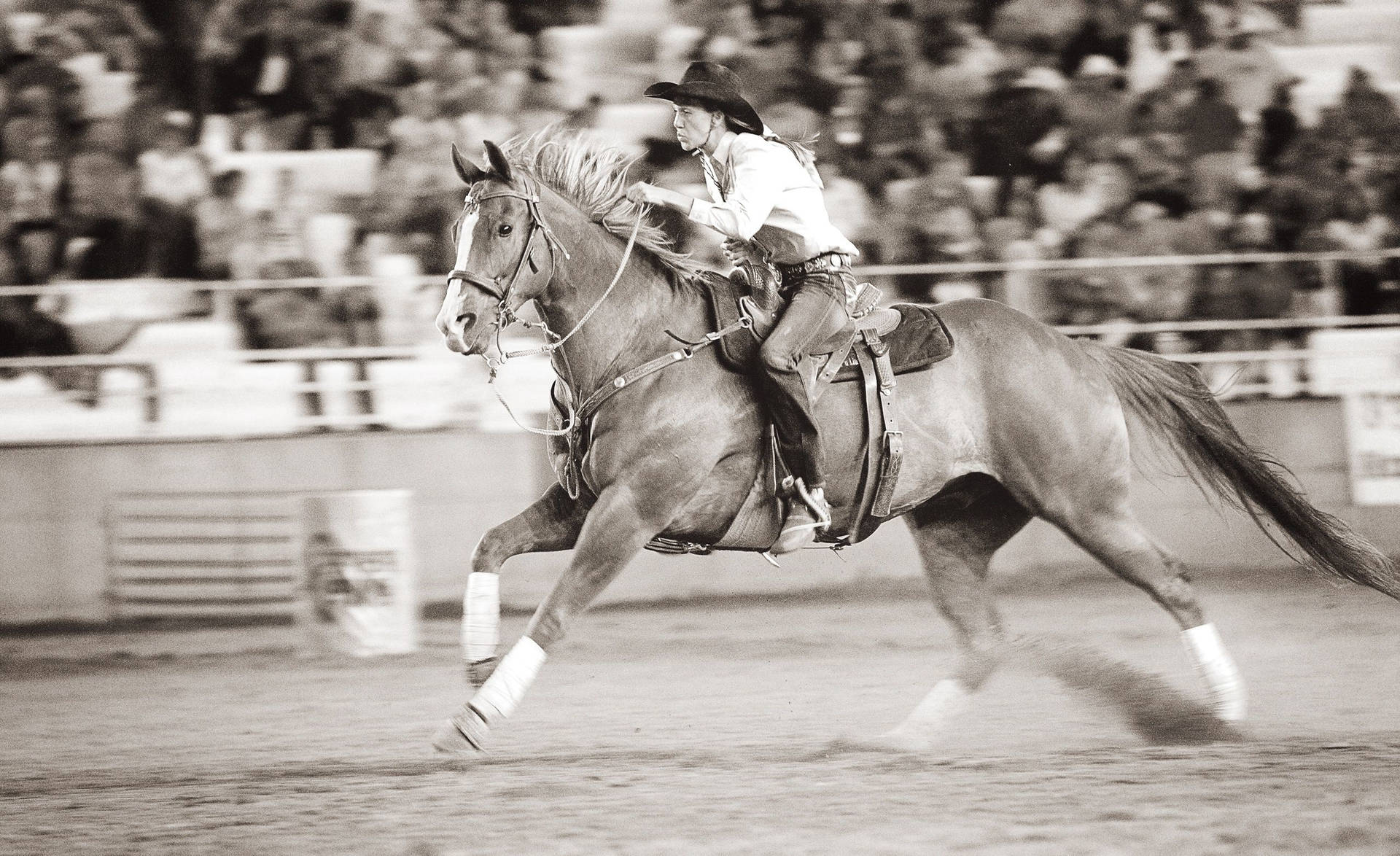 牛仔在競技場騎馬，觀眾圍觀