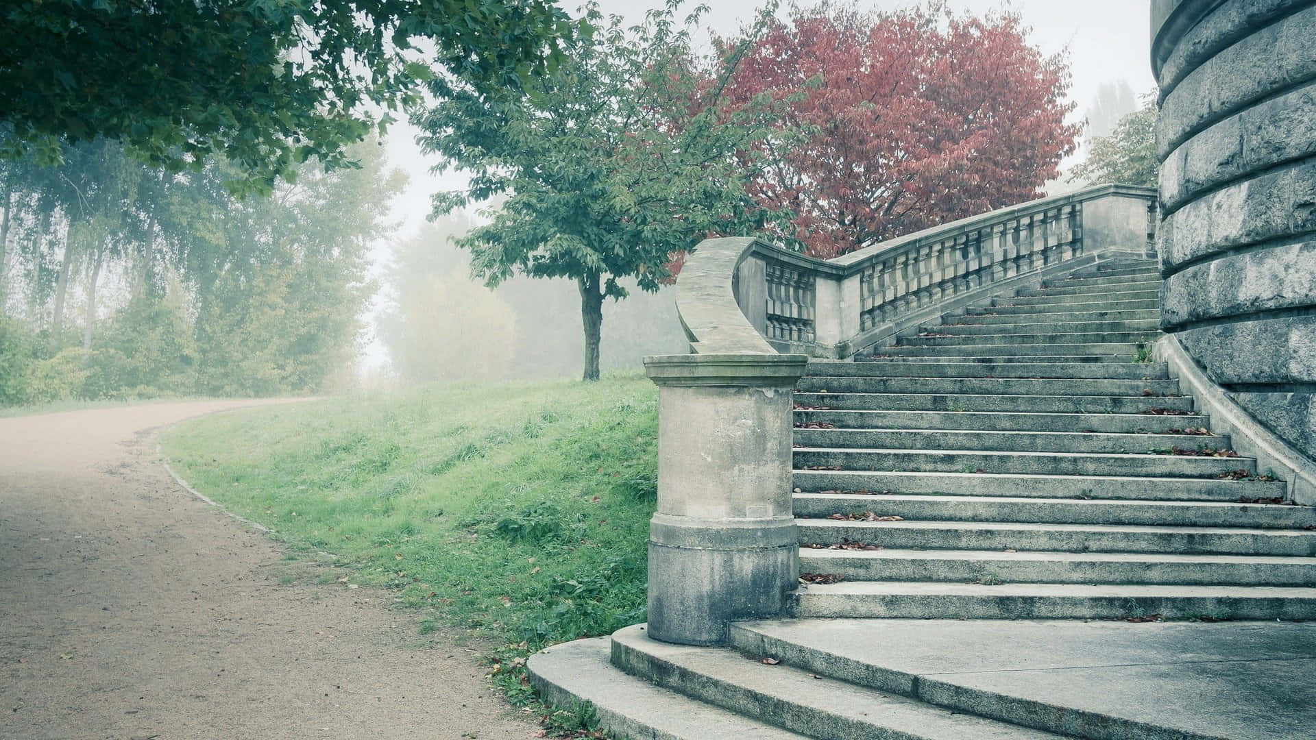 石階蜿蜒穿過迷霧公園，有秋樹和草地小徑。