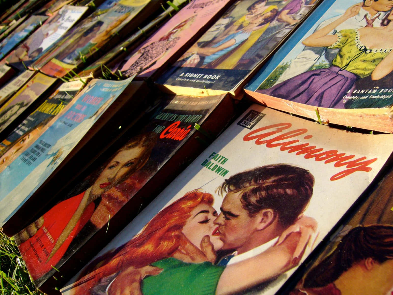 Romance Literature 桌布 壁紙 — 復古浪漫平裝書帶有鮮明封面，堆疊在陽光下的草地上。