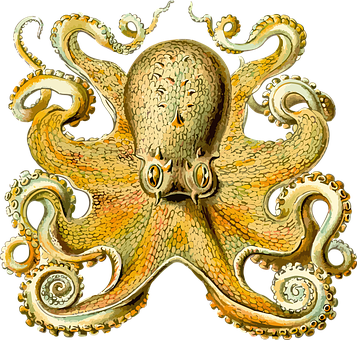 復古章魚插畫 壁紙