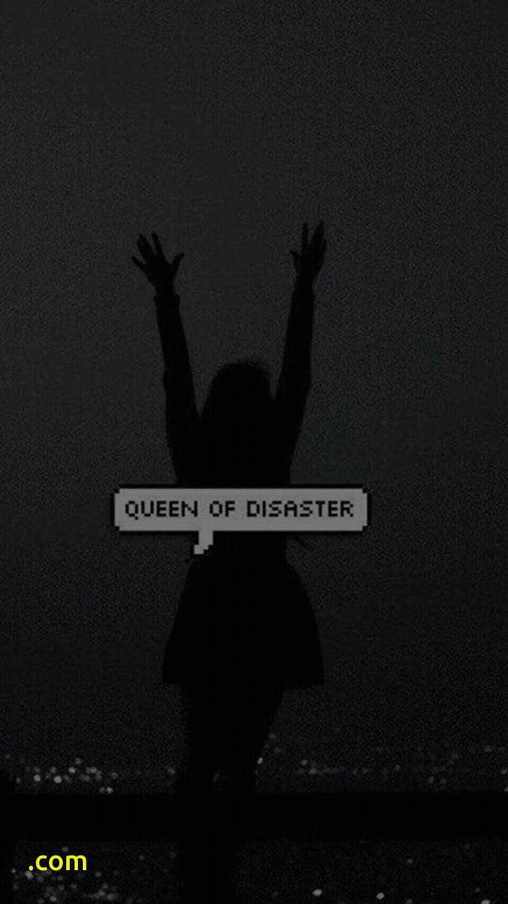 一個人在黑暗天空下舉起雙臂的剪影，並帶有像素化文字 queen of disaster。