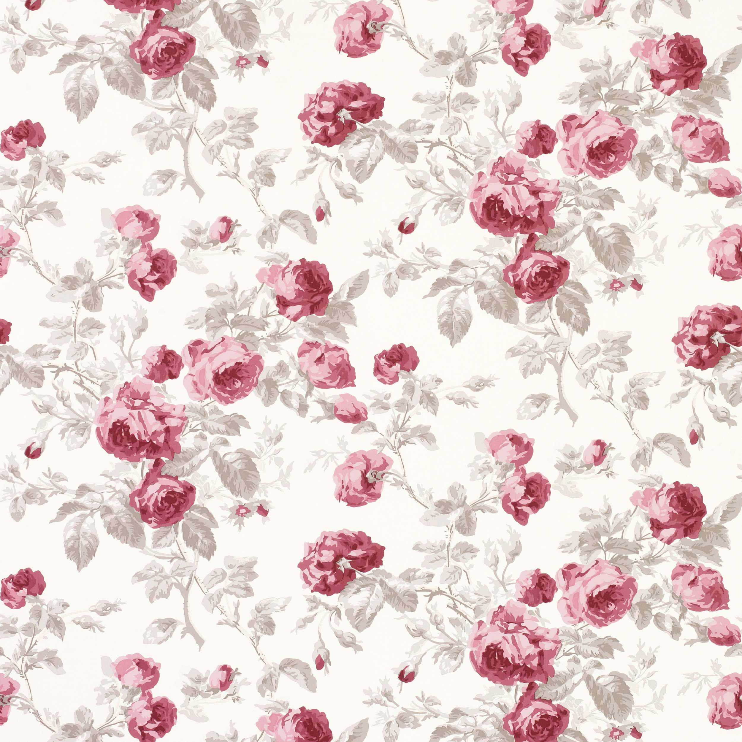 Floral Print 桌布 壁紙 — 復古花卉牆紙圖案，以深粉紅玫瑰和柔和灰綠色葉片點綴在奶油色米白背景上。