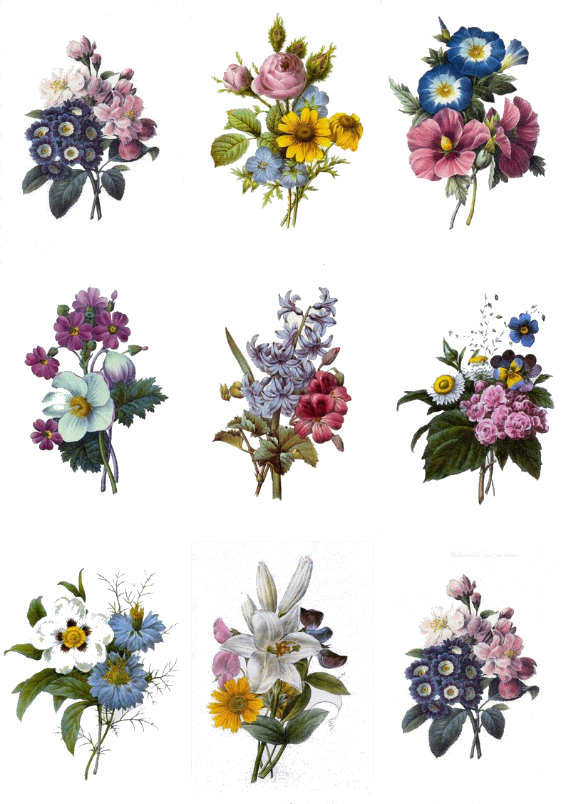 復古花卉花束系列 壁紙 — 九束復古風格的花束，包含多種花朵和葉子，排列在純黑色背景上。