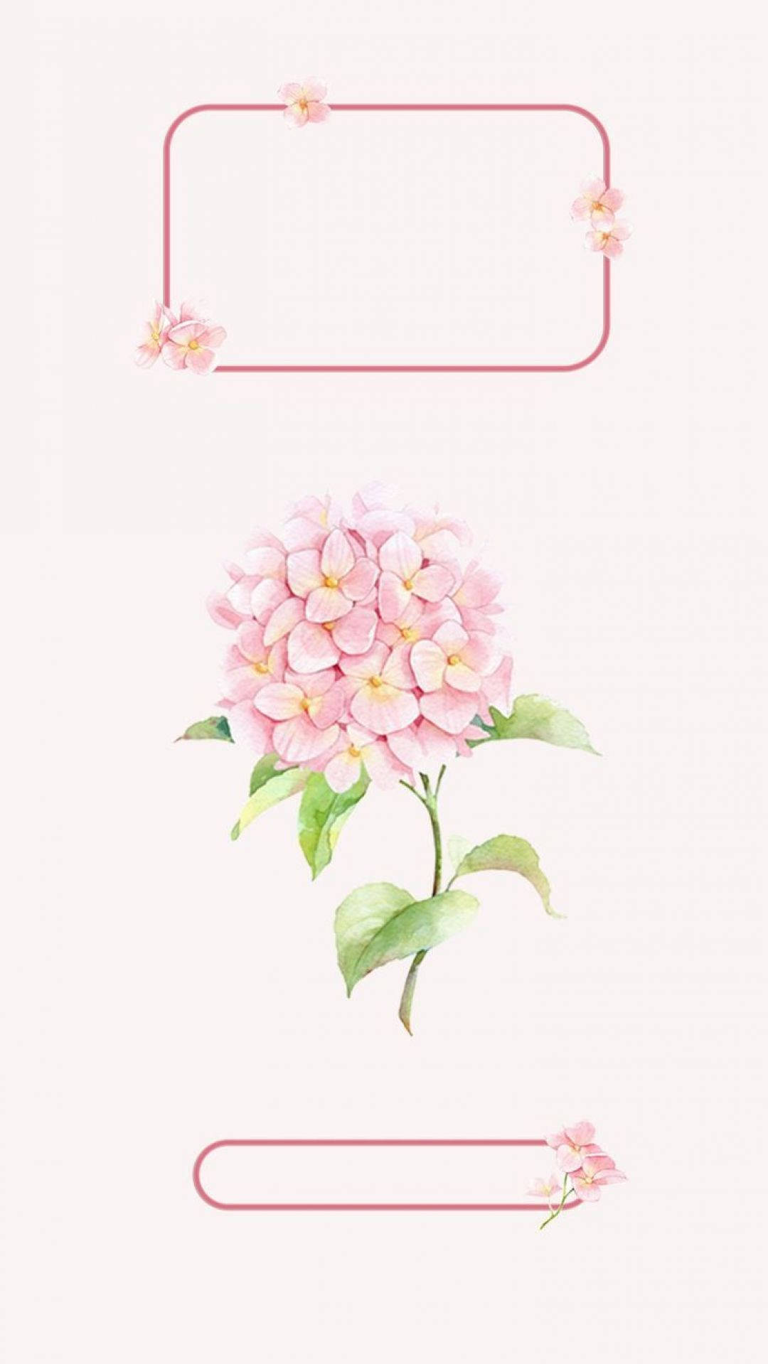 粉紅色繡球花與綠葉，由極簡粉紅色矩形框在奶油色背景上。