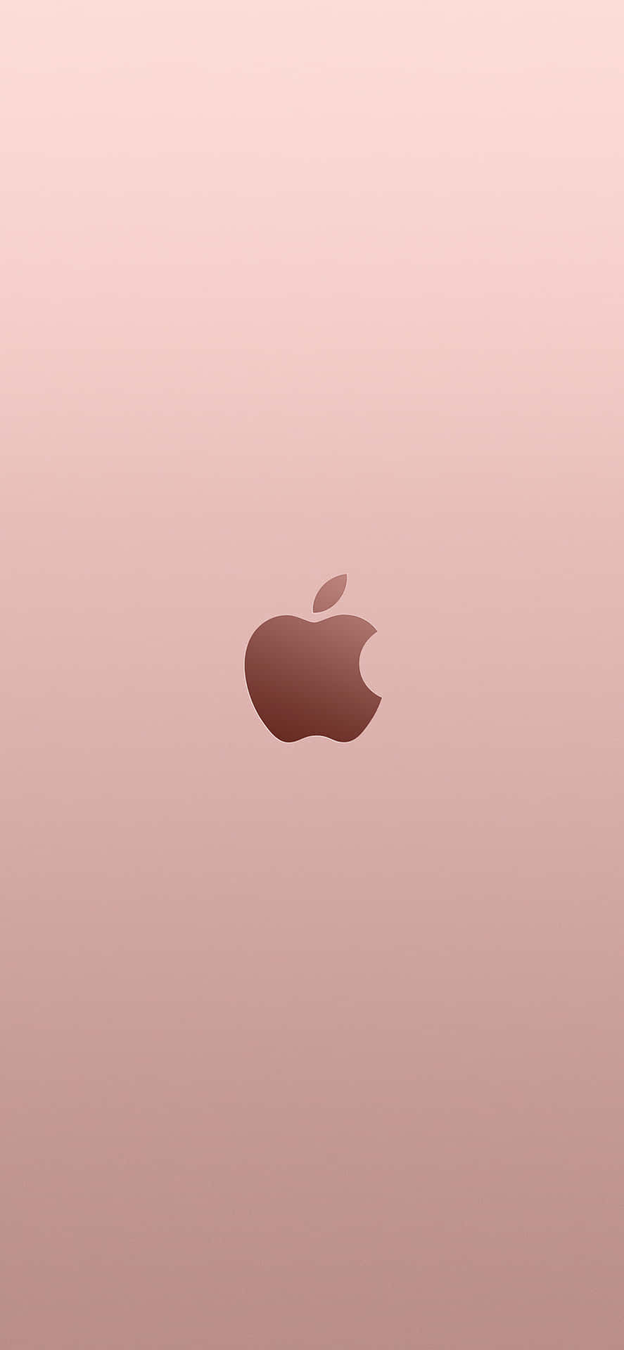 Apple標誌置於玫瑰金漸變背景中央