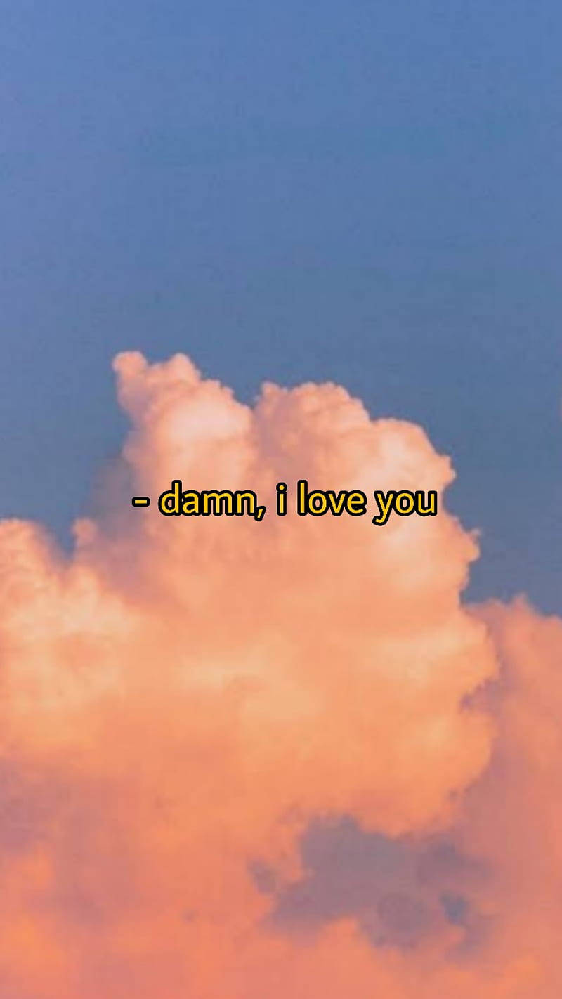 粉紅色和橙色雲朵，帶有文字 damn i love you，襯托著藍天。