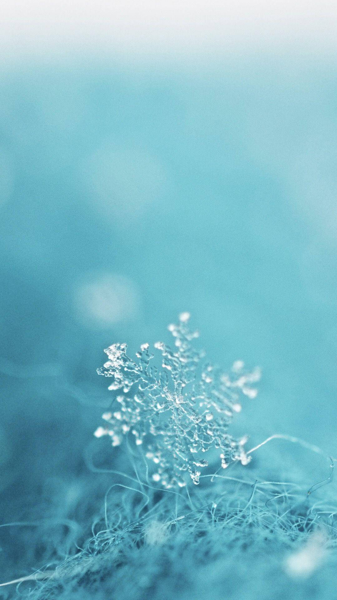 在藍色紋理表面上的一片精緻雪花。