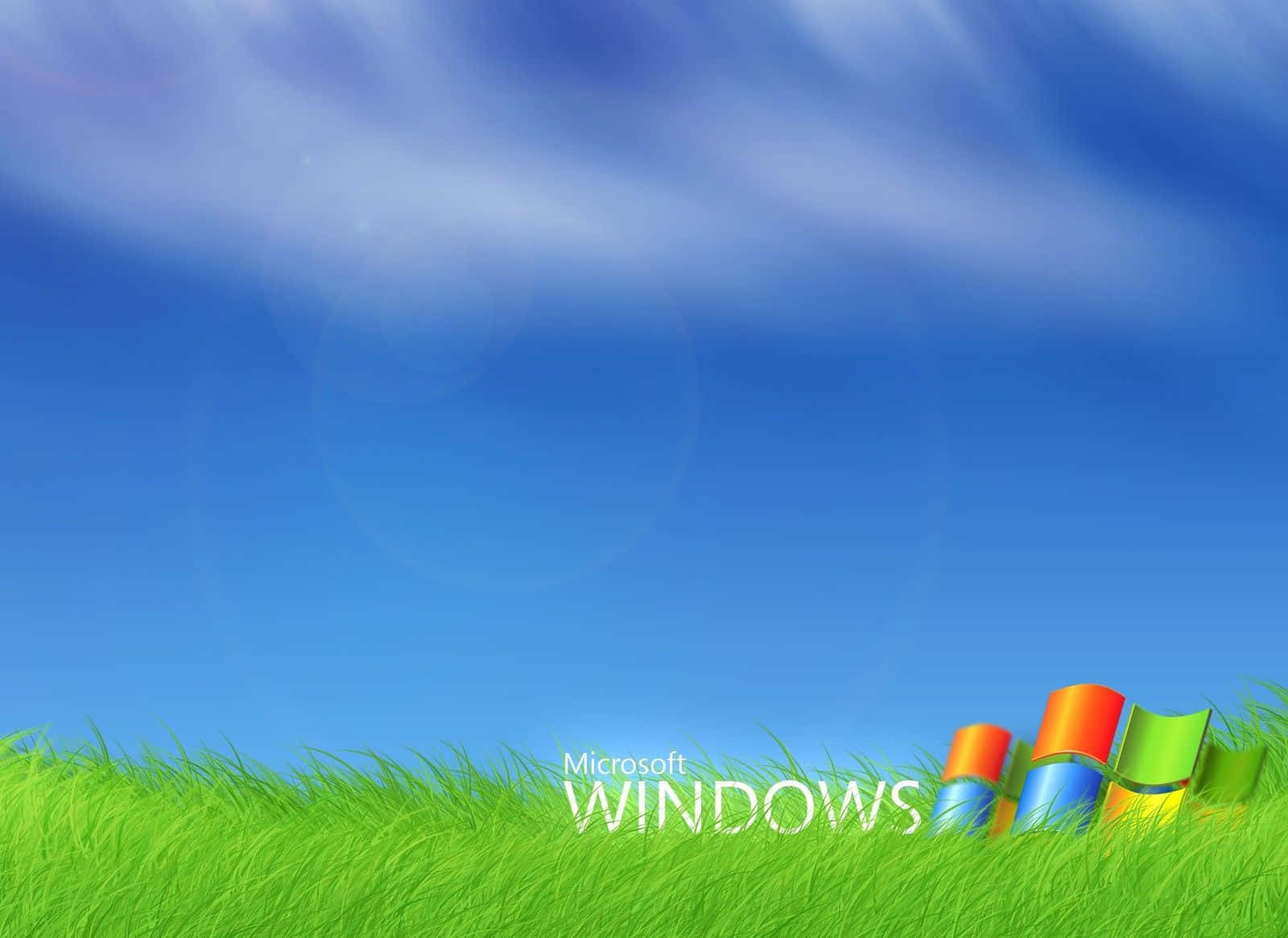 藍天下綠草地上的Windows標誌