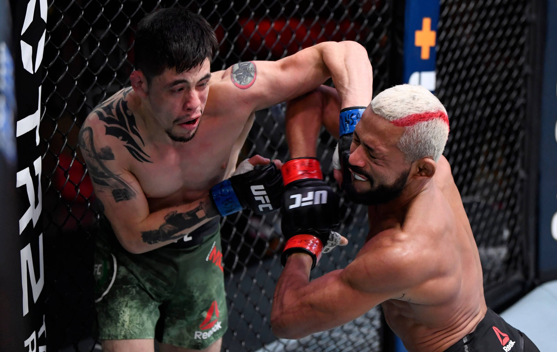 兩名男性MMA拳手在八角籠內於比賽中互相出拳。