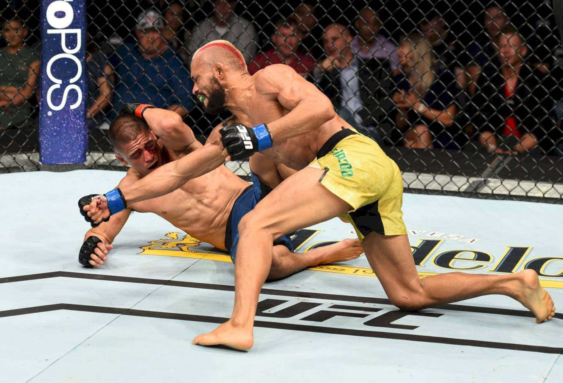 兩名MMA拳手在比賽中於UFC八角籠內纏鬥。