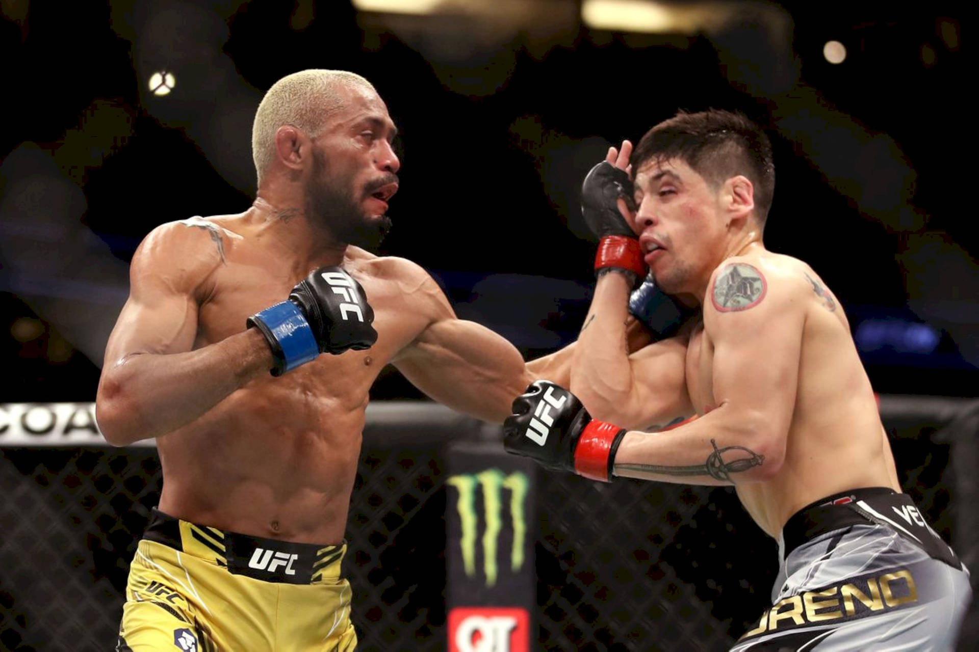 兩名男性MMA拳手在鐵籠內於UFC比賽中互相出拳。