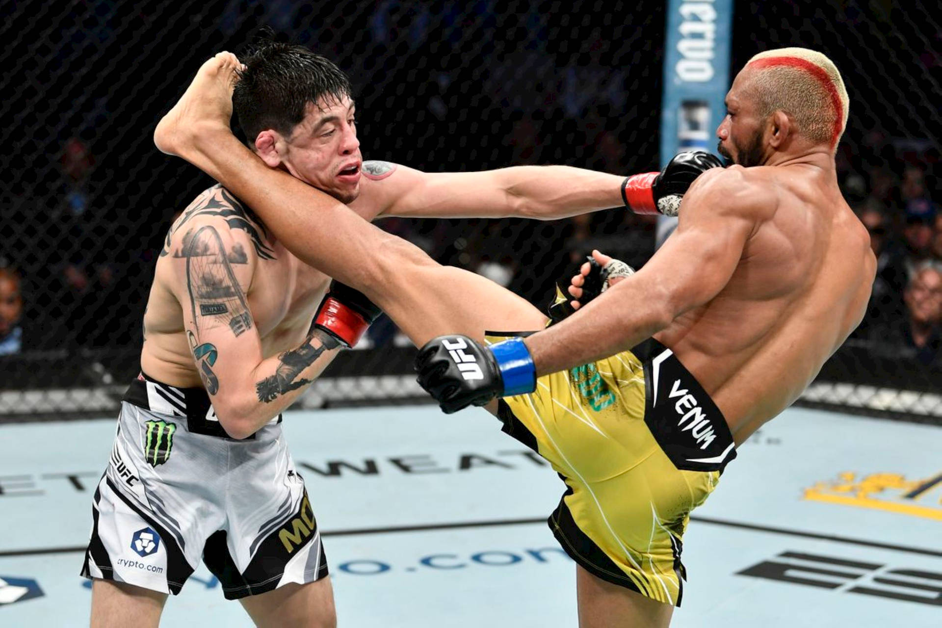 兩名戴著MMA手套的男性拳手在八角籠內交換高踢。