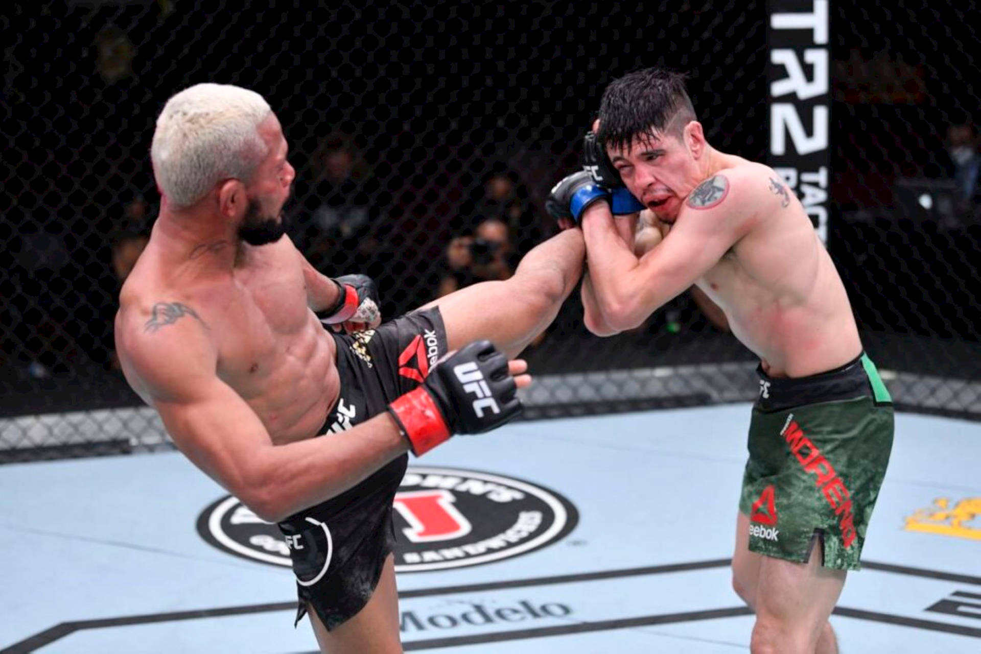 八角籠內的兩名MMA拳手，一人踢向另一人，後者擋格攻擊。