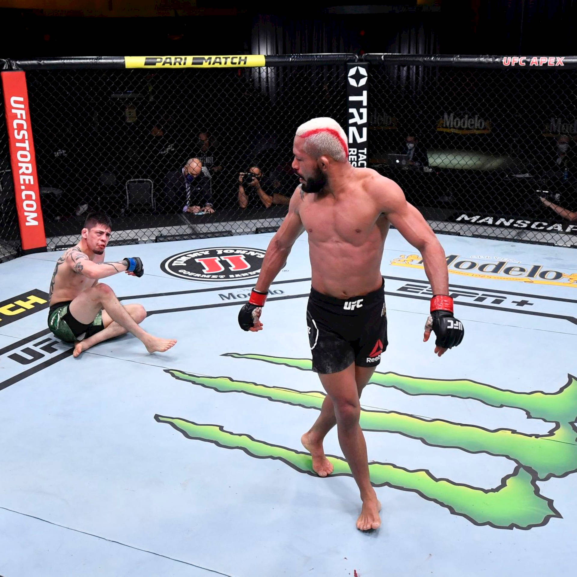 UFC拳手喺八角籠入面慶祝打敗對手。