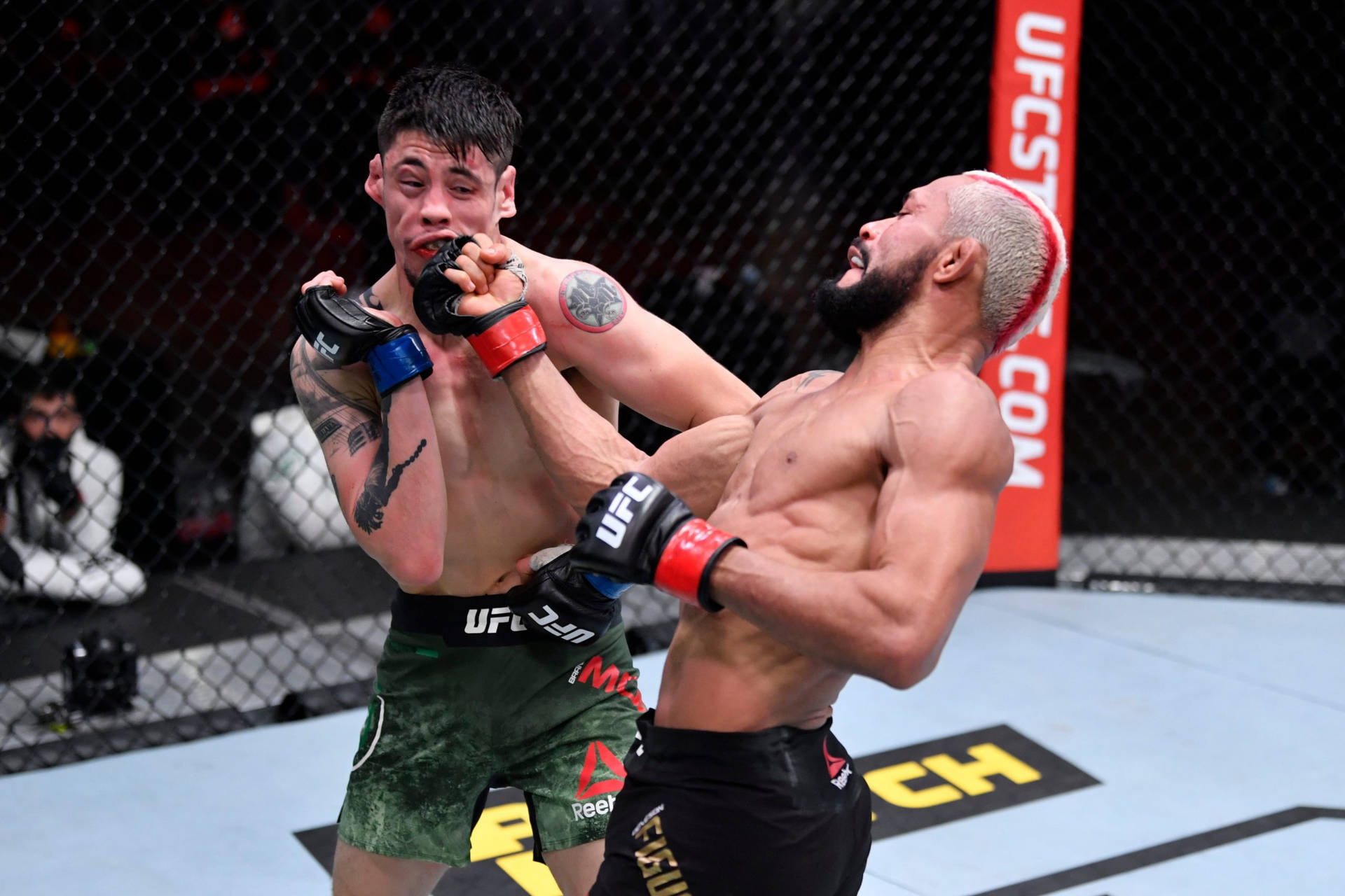 兩名MMA拳手在比賽中於UFC八角籠內纏鬥。