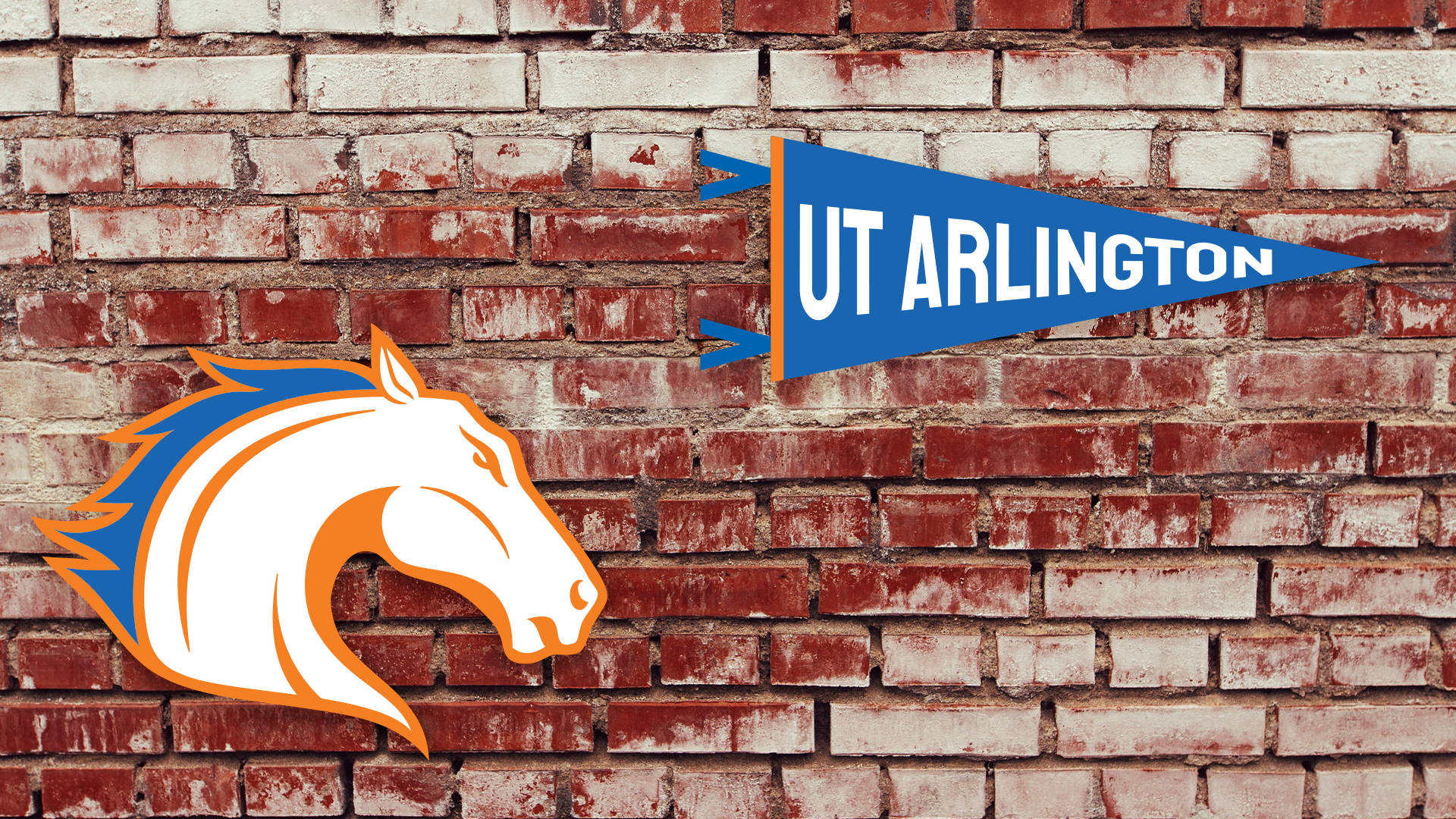 UT Arlington大學旗幟同馬標誌喺磚牆上