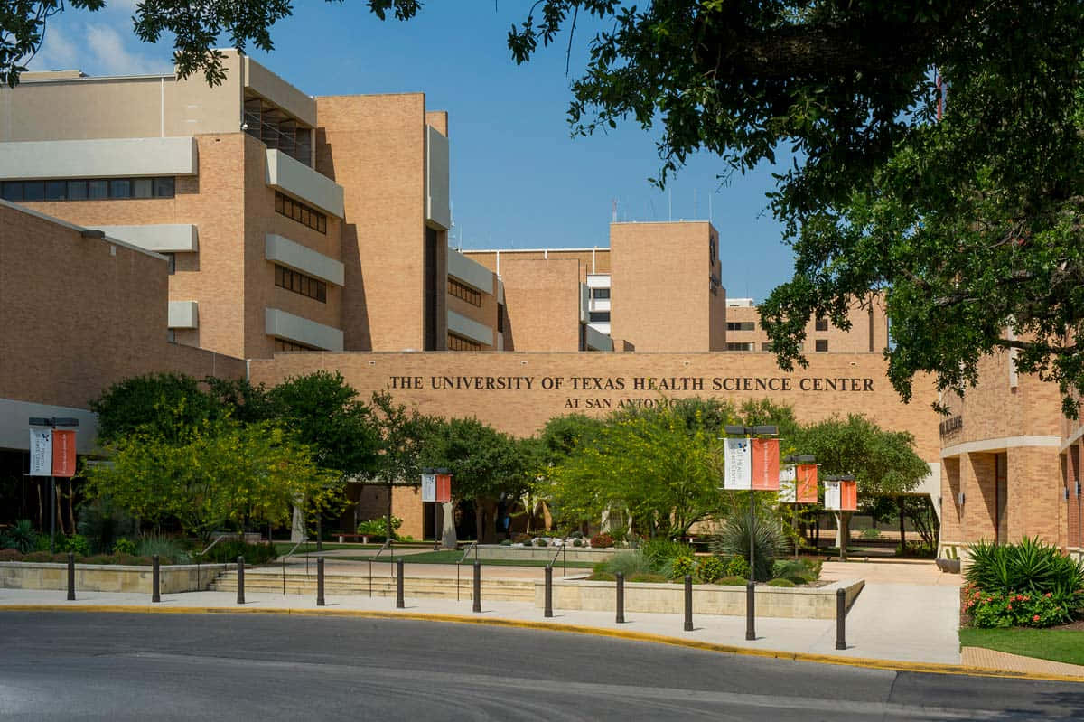 德州大學健康科學中心校園，藍天下有磚砌建築和綠樹。