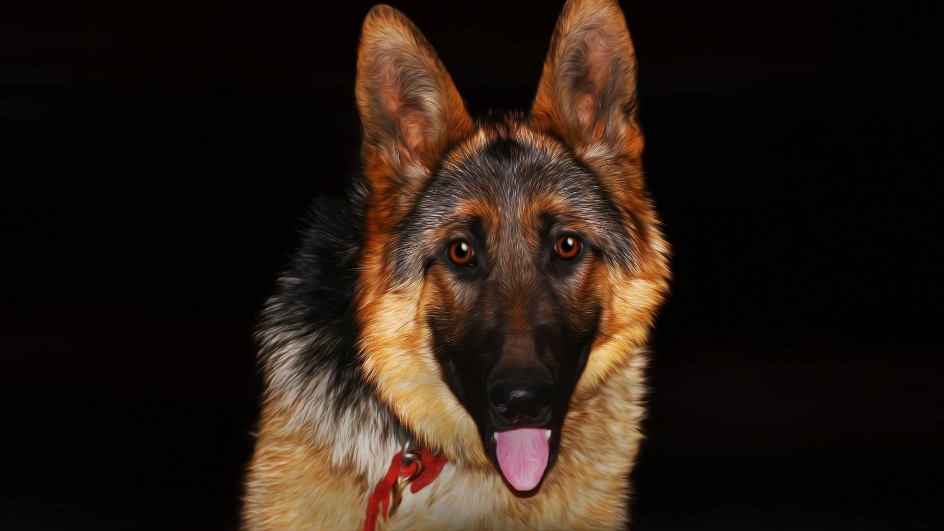 德國牧羊犬插畫風格 壁紙 — 一隻德國牧羊犬豎起警覺的耳朵，伸出粉紅色的舌頭，在純黑色背景下格外突出。