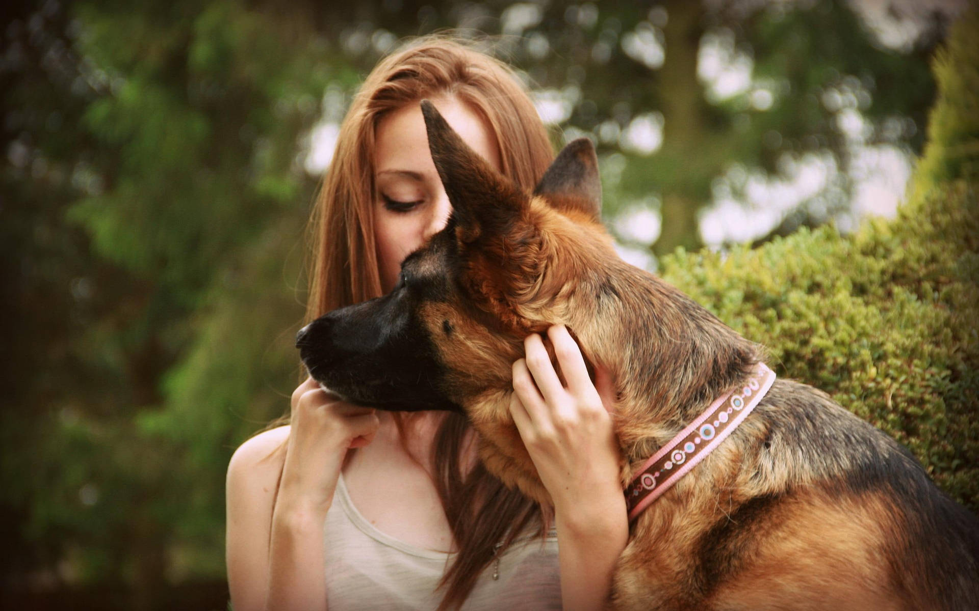 女性在花園中溫柔地抱著德國牧羊犬