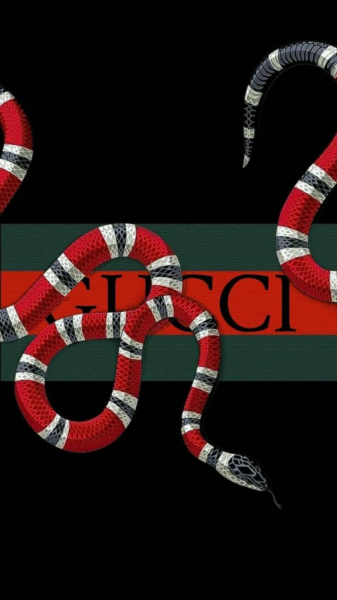 Gucci 標誌，周圍纏繞著一條紅白黑蛇。