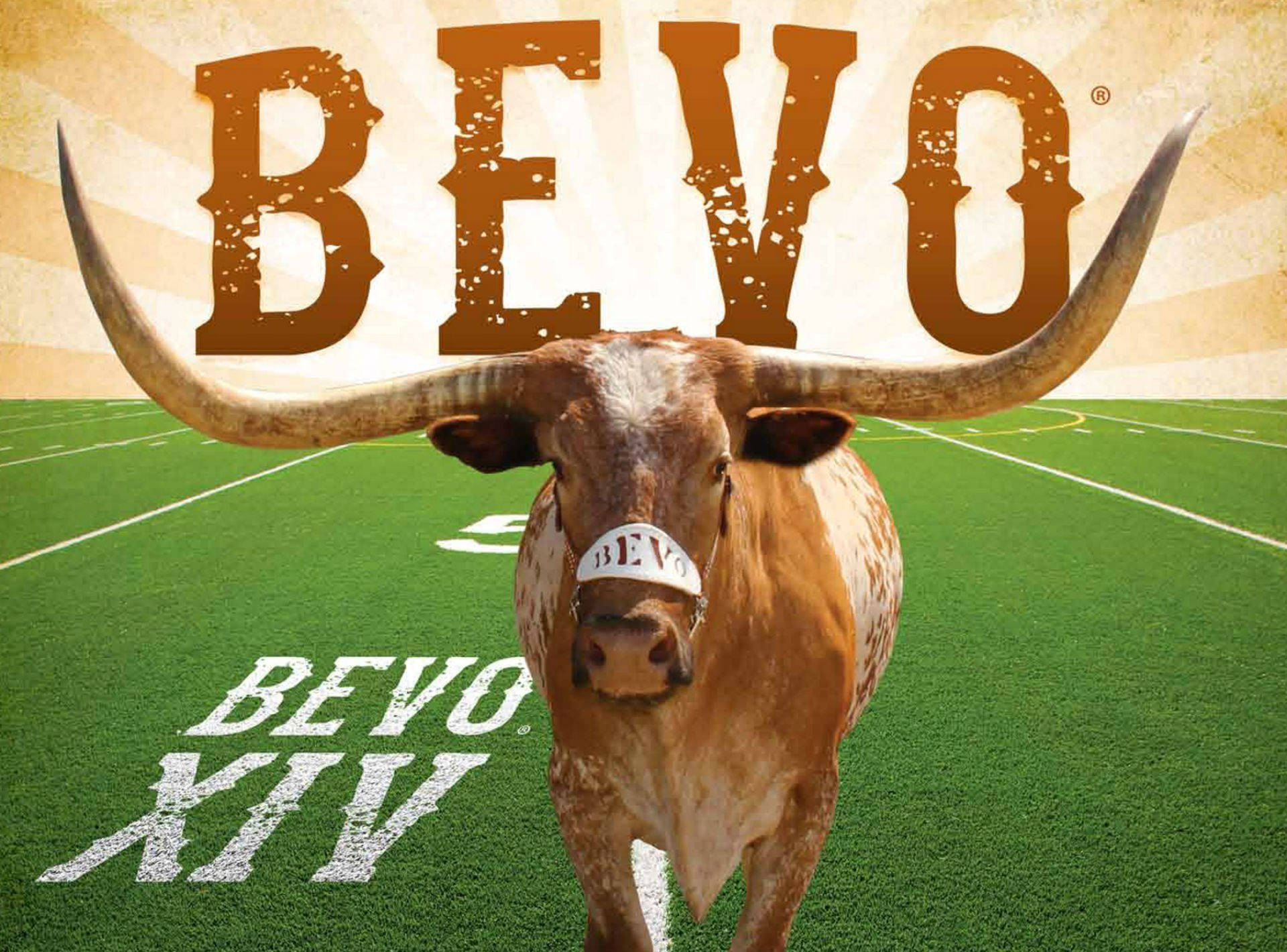 名為Bevo的長角公牛吉祥物站在帶有球隊品牌的足球場上。