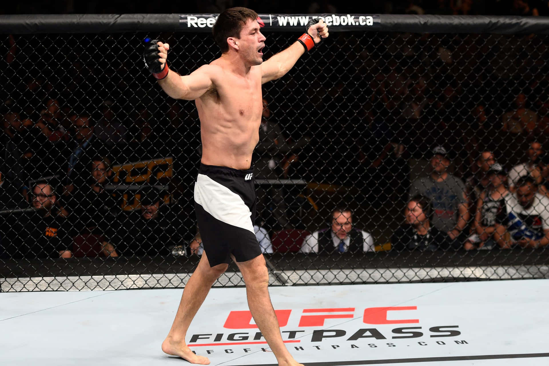 MMA選手在UFC八角籠內高舉雙臂慶祝勝利。
