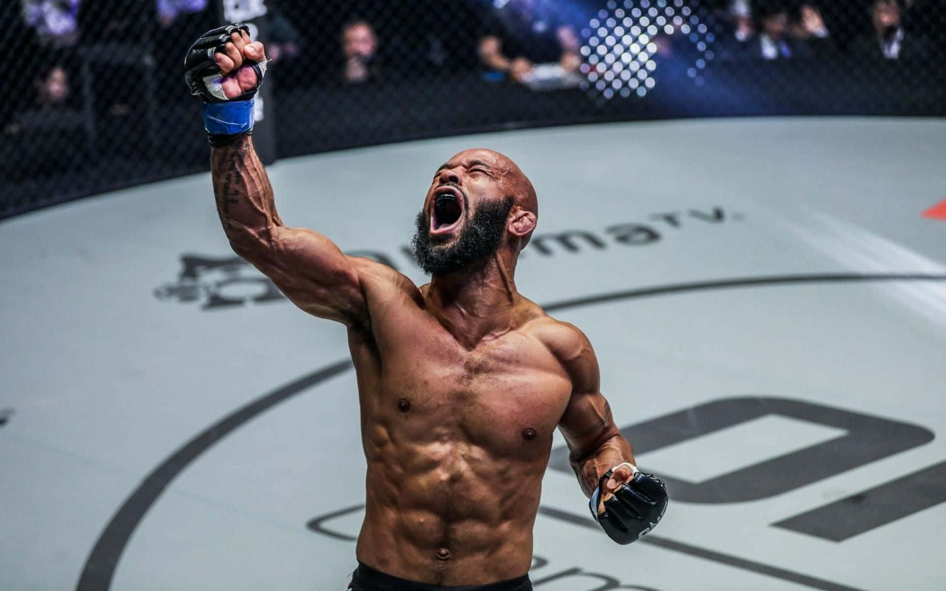 一位勝利的MMA拳手在八角籠中舉起拳頭。