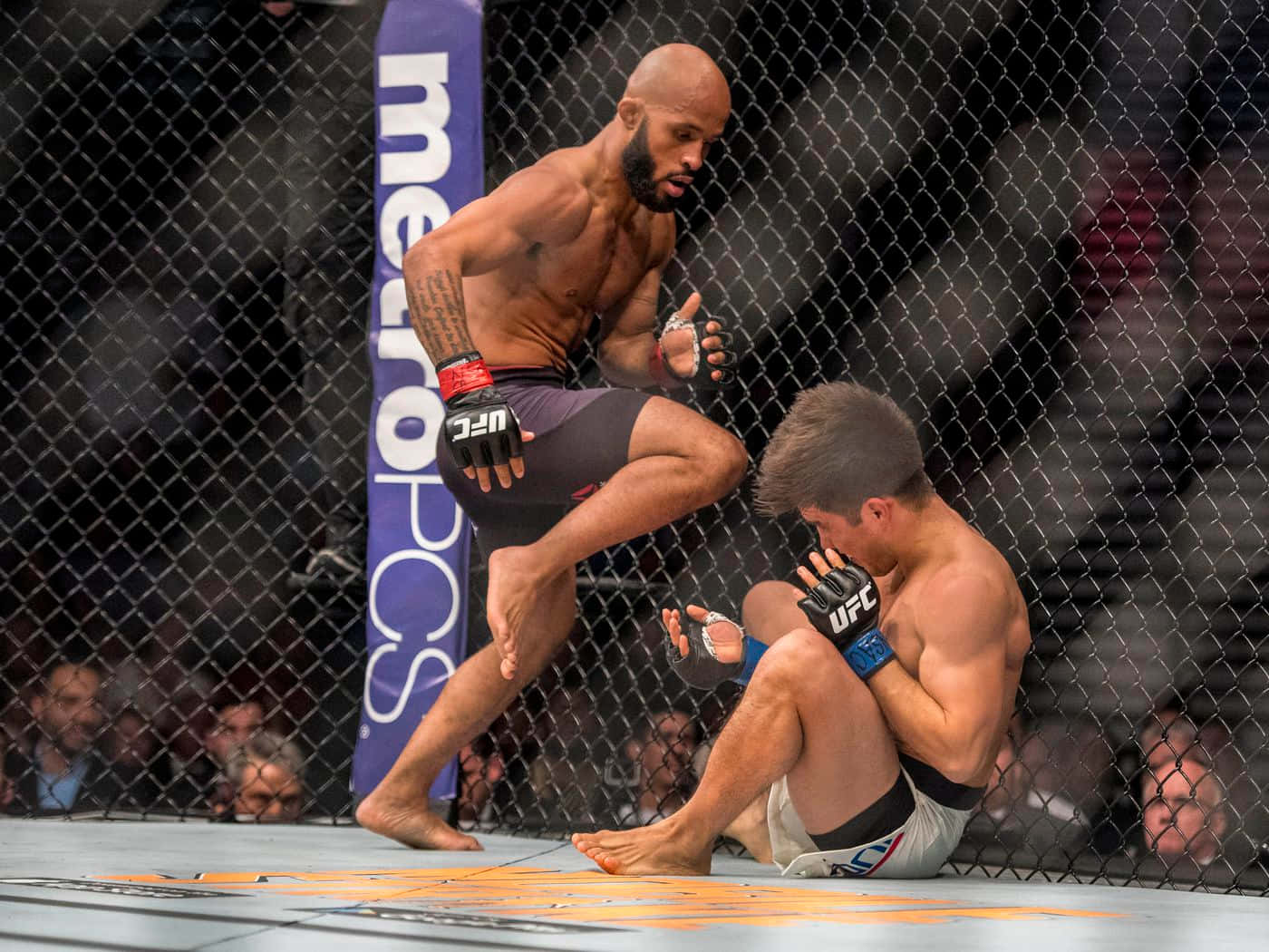兩名MMA拳手在UFC比賽中於八角籠內戰鬥。