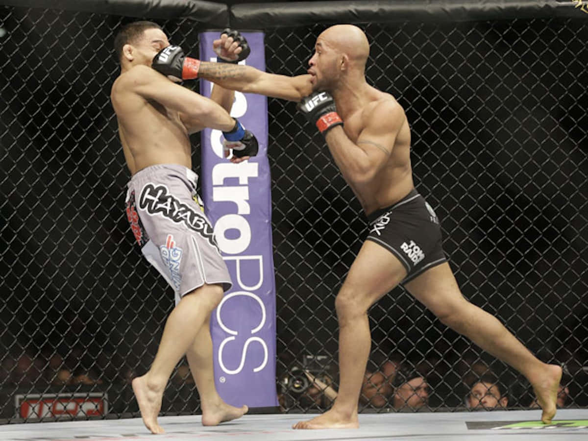 兩名MMA拳手在UFC八角籠內互相出拳。