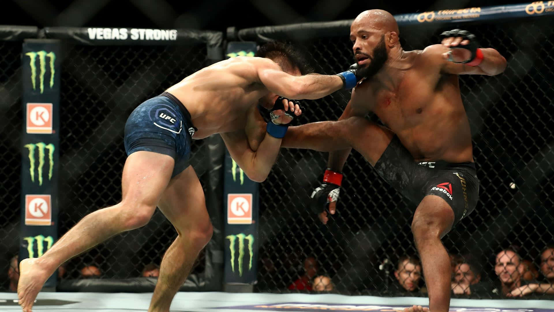 兩名MMA拳手在UFC八角籠內比賽中互相出拳。