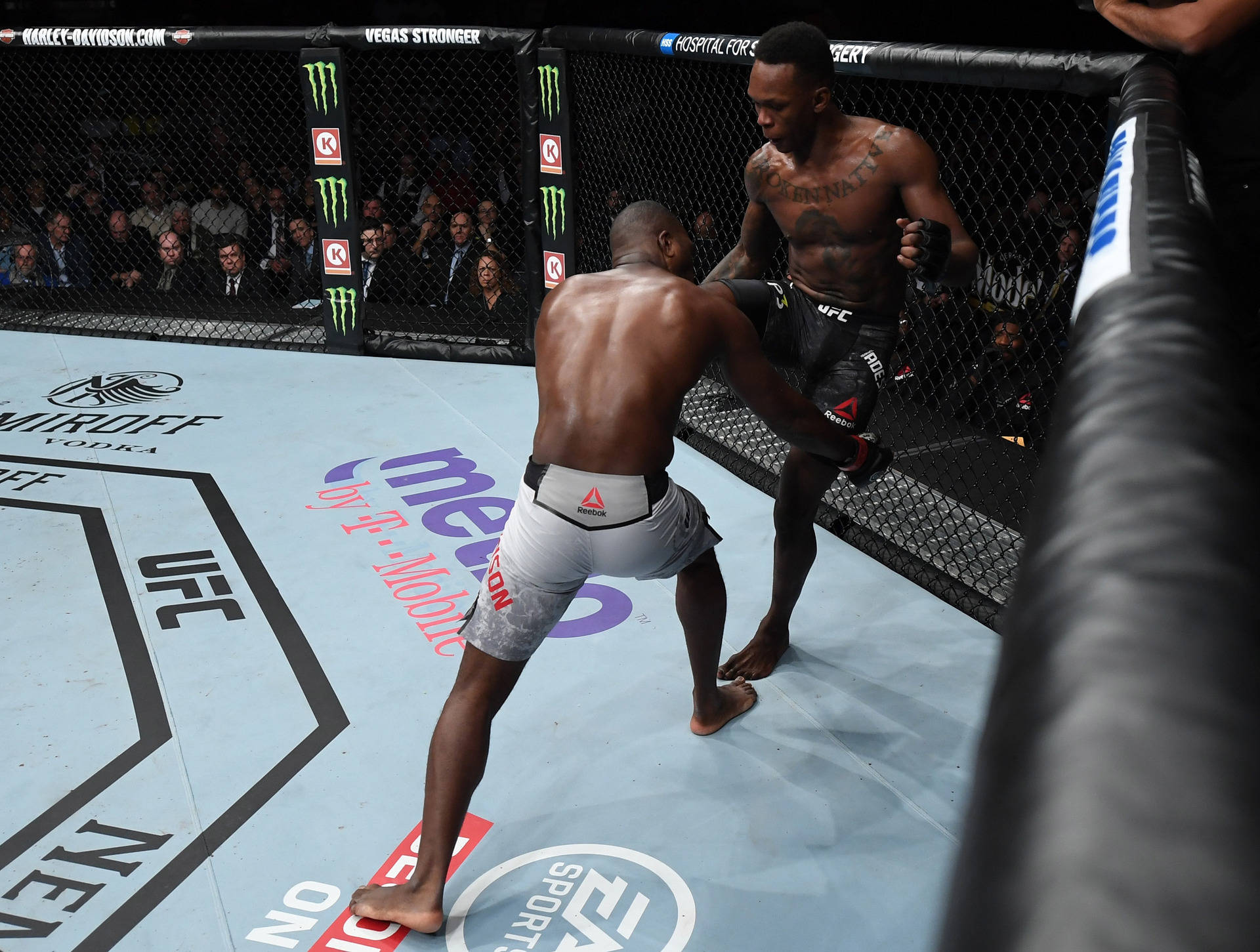 兩名MMA拳手在現場賽事中於UFC八角籠內纏鬥。