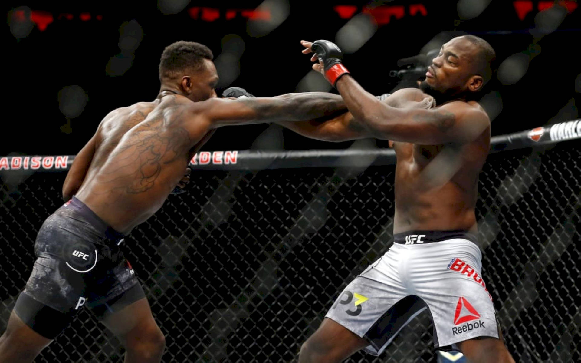 兩名MMA拳手在UFC八角籠內互相出拳。