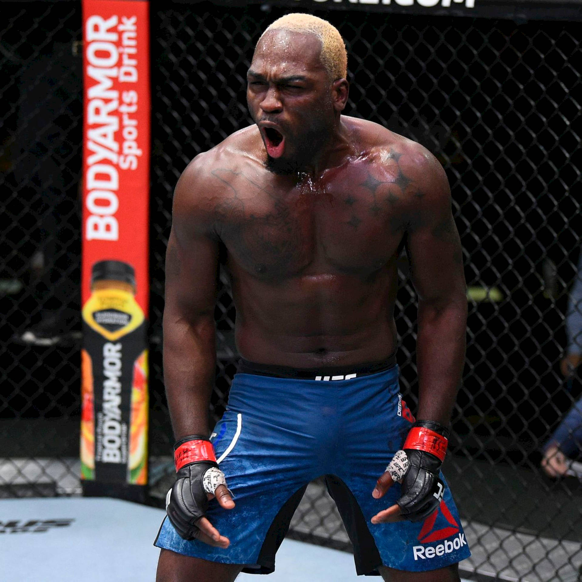 一個赤裸上身的MMA鬥士在八角籠內勝利後咆哮。