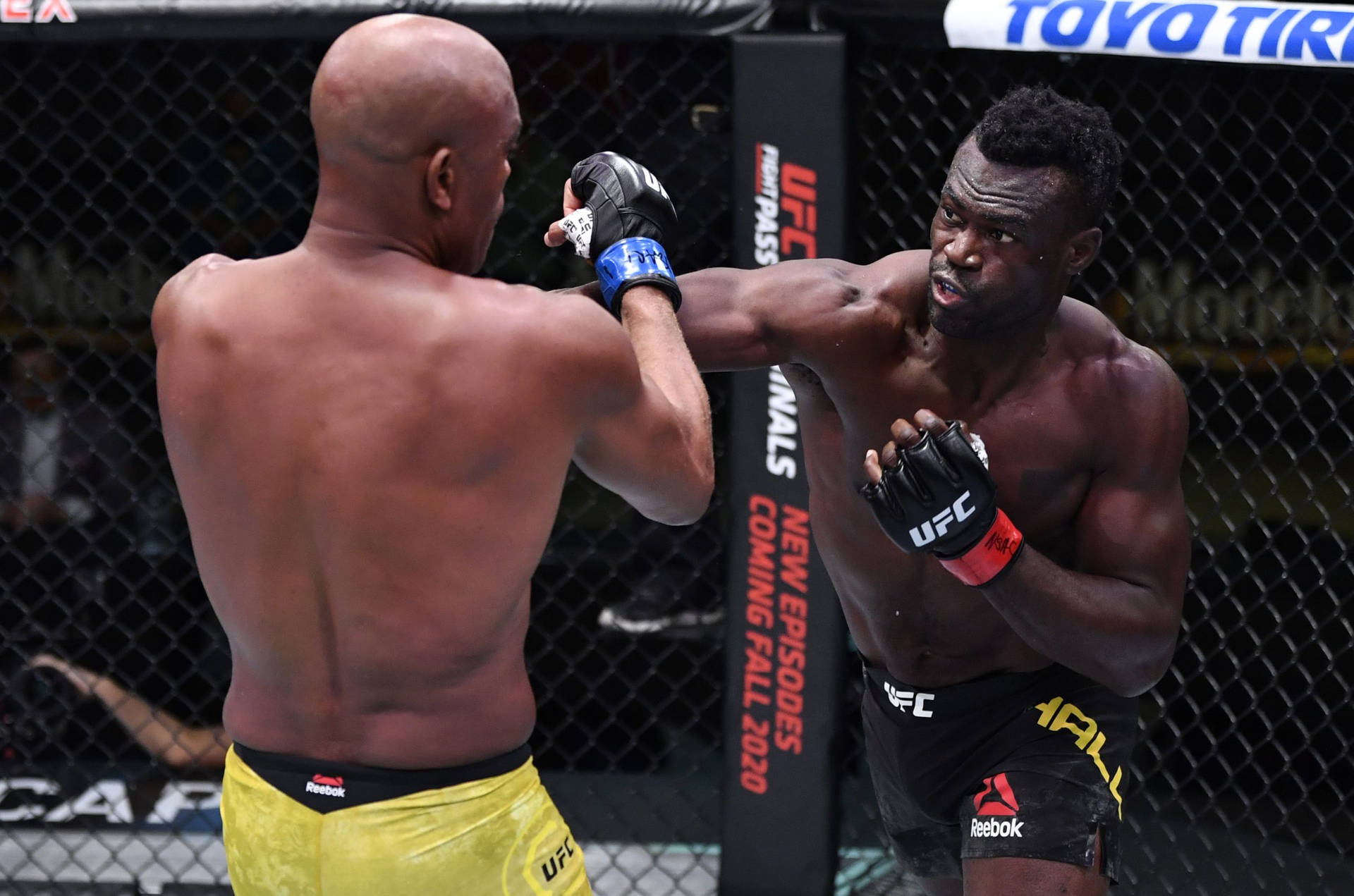兩名男性MMA拳手在八角籠中於UFC比賽期間互毆。