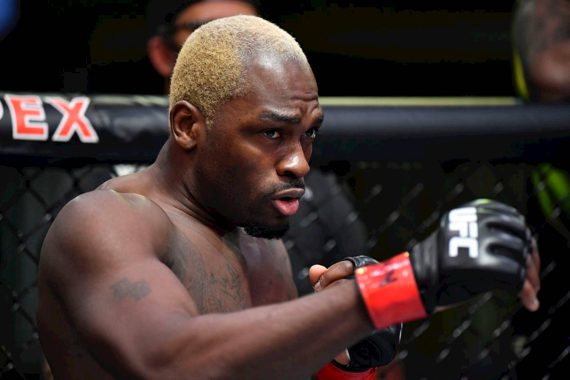 一位肌肉發達的MMA拳手，漂白頭髮和紋身，在UFC八角籠中。