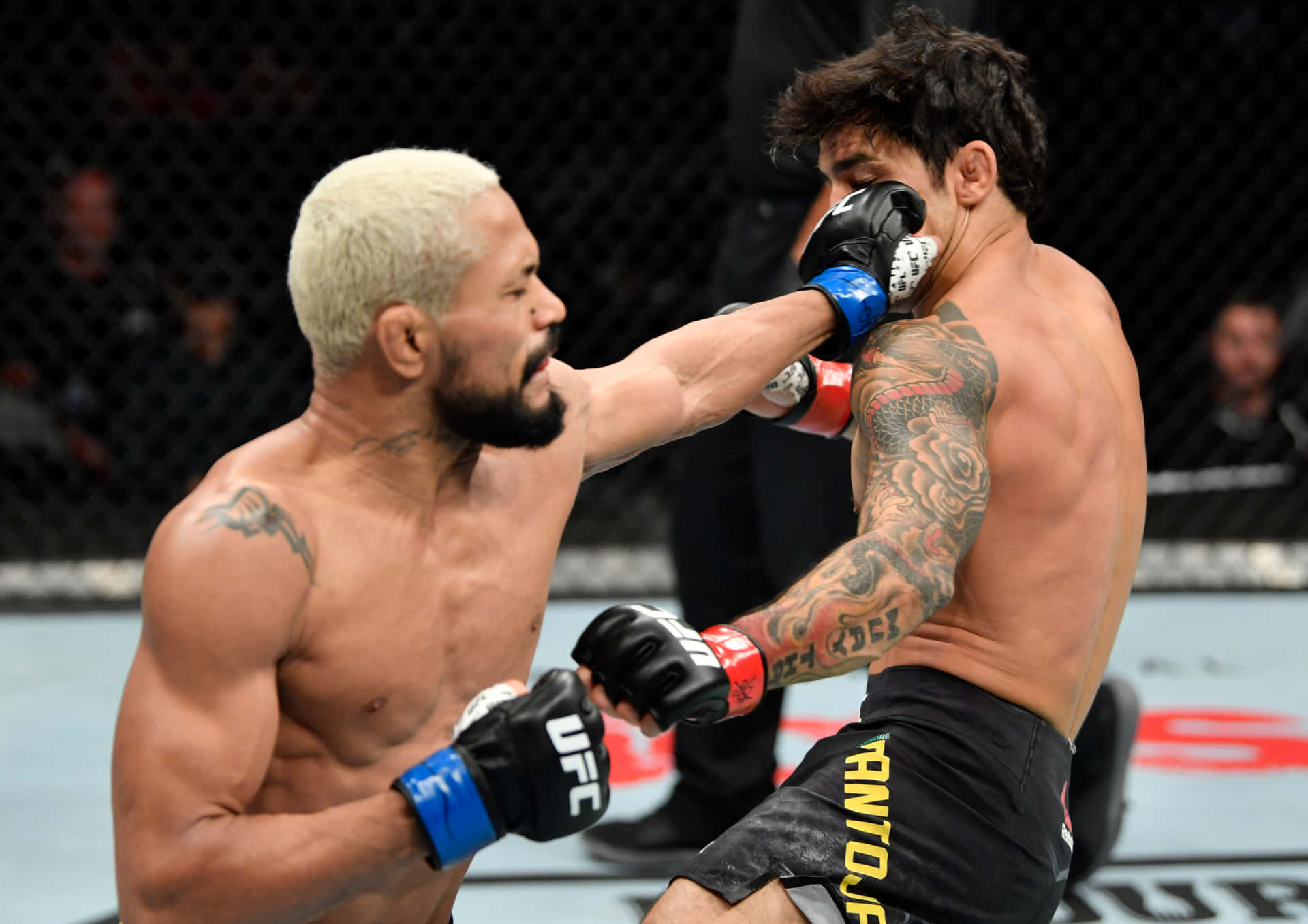 兩名戴著MMA拳套的男性拳手在八角鐵籠內互相出拳。