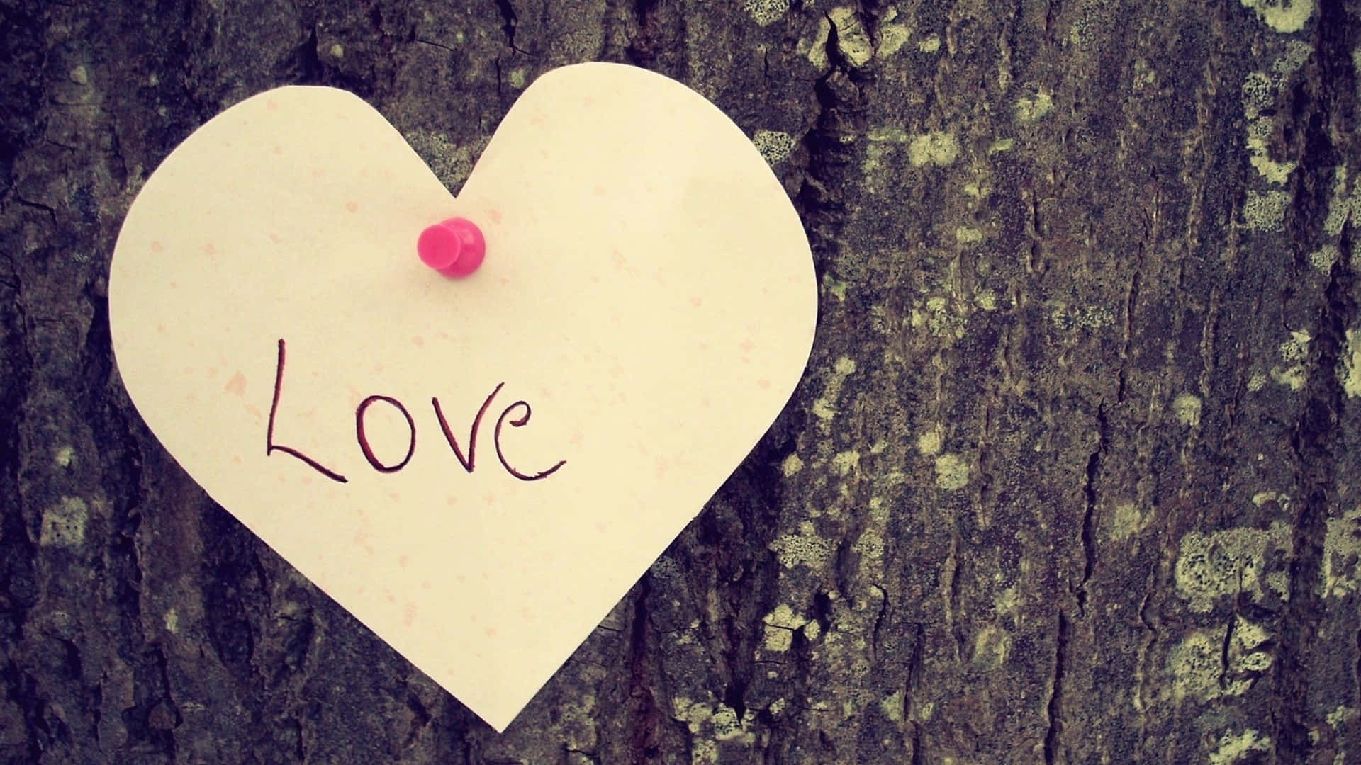 一個紙質心形，上面寫著love，釘在樹幹上。