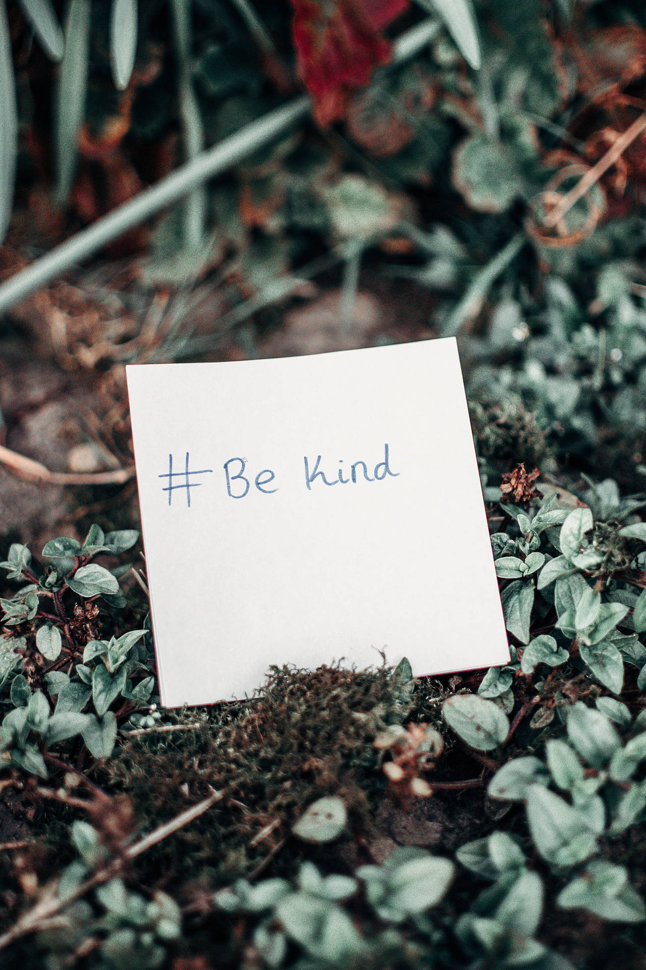 一張白色小便條，上面有手寫文字 #Be kind，放置在綠色苔蘚和植物中。