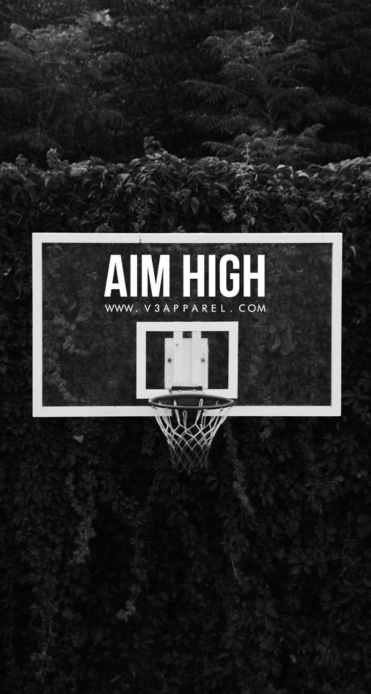 一個黑白籃球框，上面有「AIM HIGH」字樣，被樹葉環繞。
