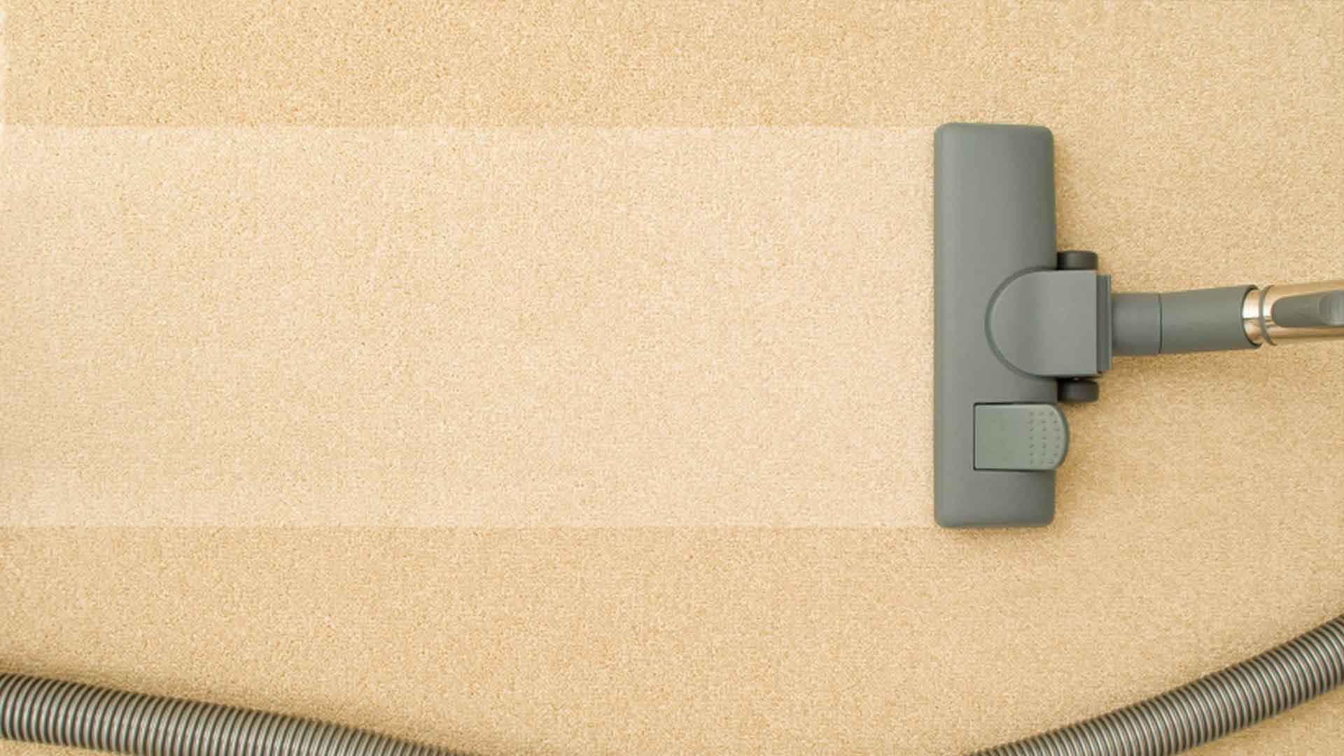 灰色吸塵機頭從上方清潔米色地毯。