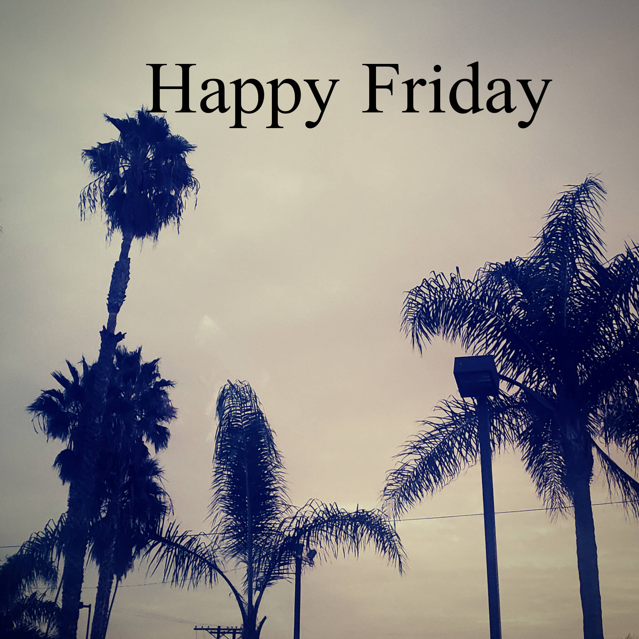 快樂星期五下午 壁紙 — 棕櫚樹剪影映襯柔和天空，疊加「Happy Friday」文字。