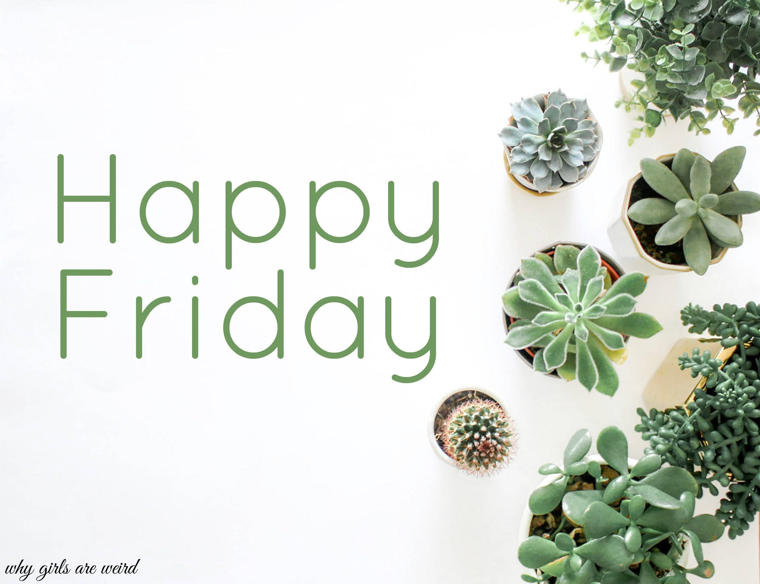 快樂星期五仙人掌日 壁紙 — 俯視圖，白色表面上圍繞綠色「Happy Friday」文字排列的各種多肉植物和仙人掌盆栽。