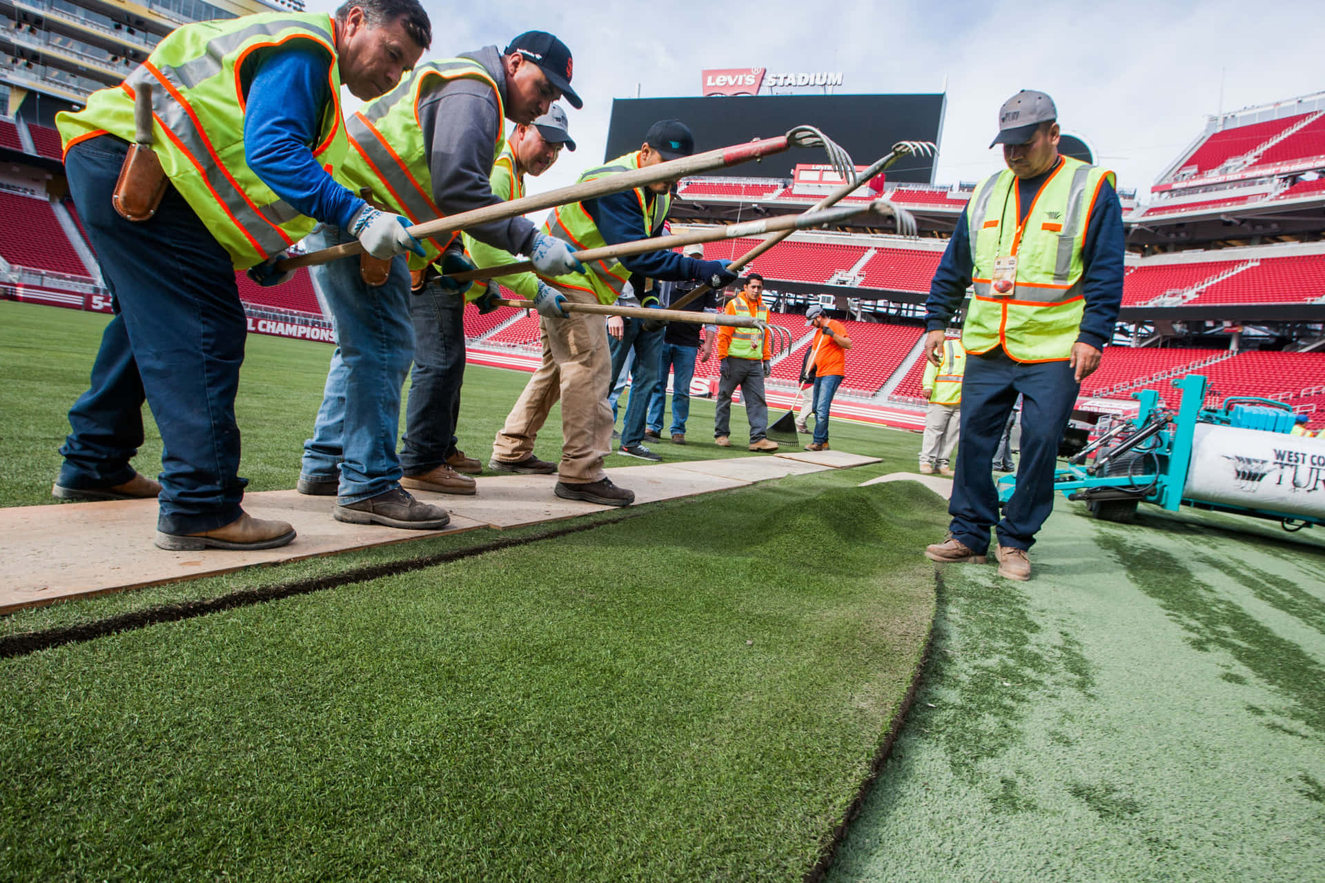 建築工人在Levi's Stadium安裝人造草皮。