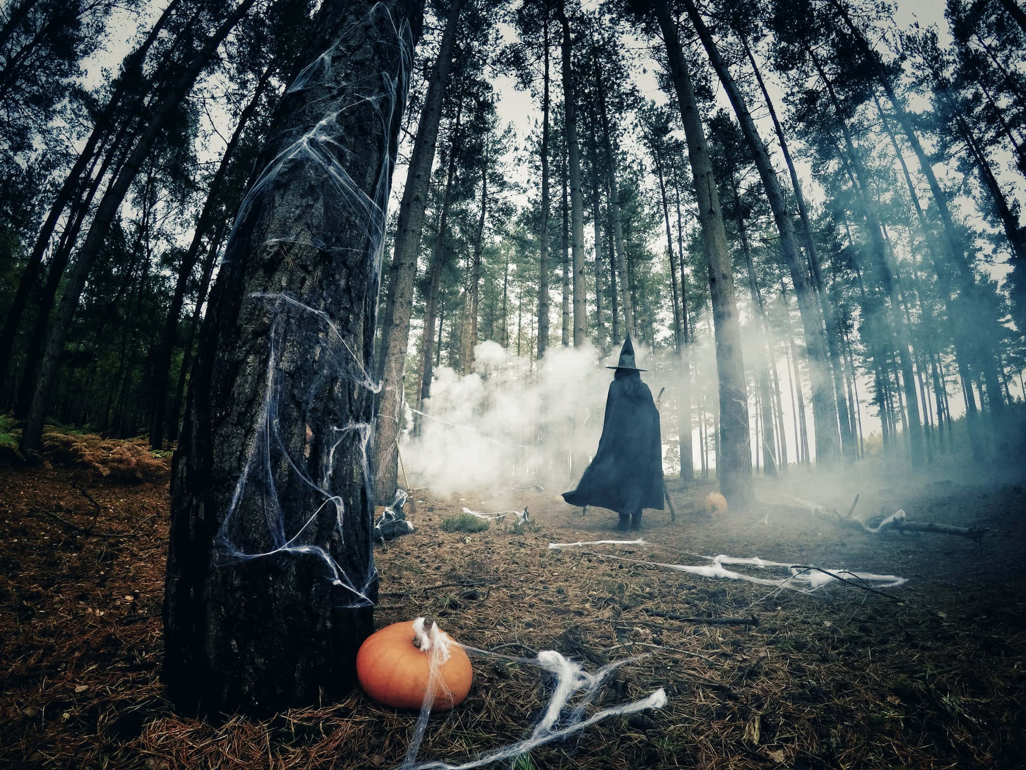 恐怖萬聖節背景 壁紙